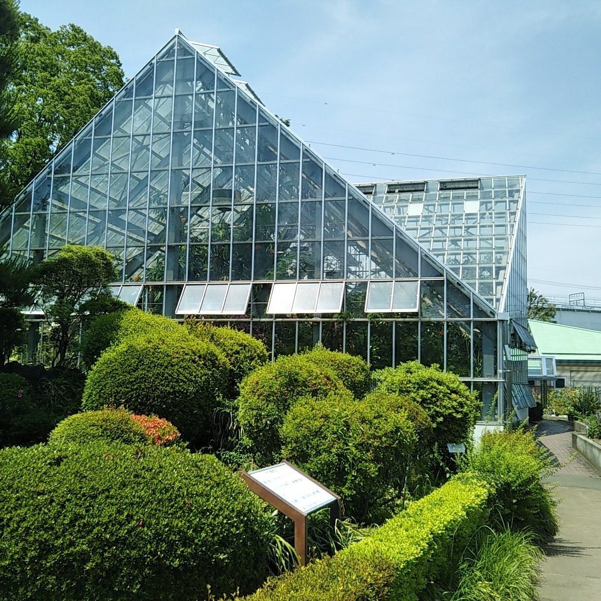 🌿 도쿄도 약용식물원 (도쿄토 야쿠요 쇼쿠부츠엔) 이미지 1